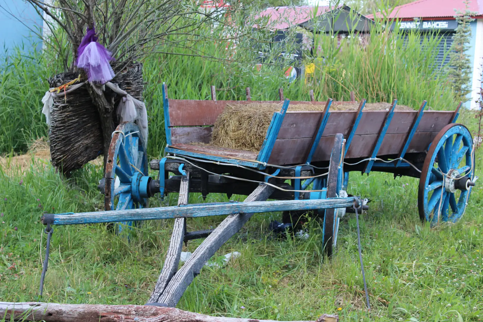 Ağrı'da yeşil ve gölgeli alanlar yaz sıcağından kaçış noktası oldu