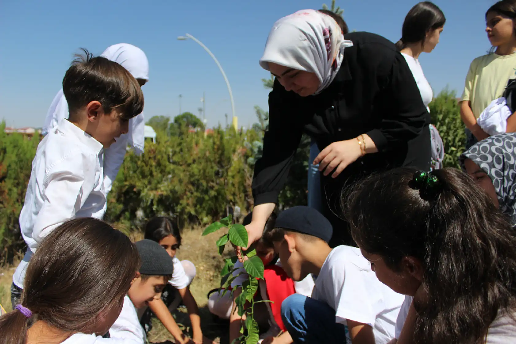 TÜGVA öğrencileri Ulu Cami bahçesinde fidan dikti