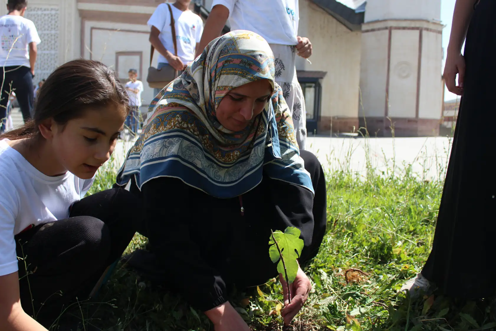 TÜGVA öğrencileri Ulu Cami bahçesinde fidan dikti