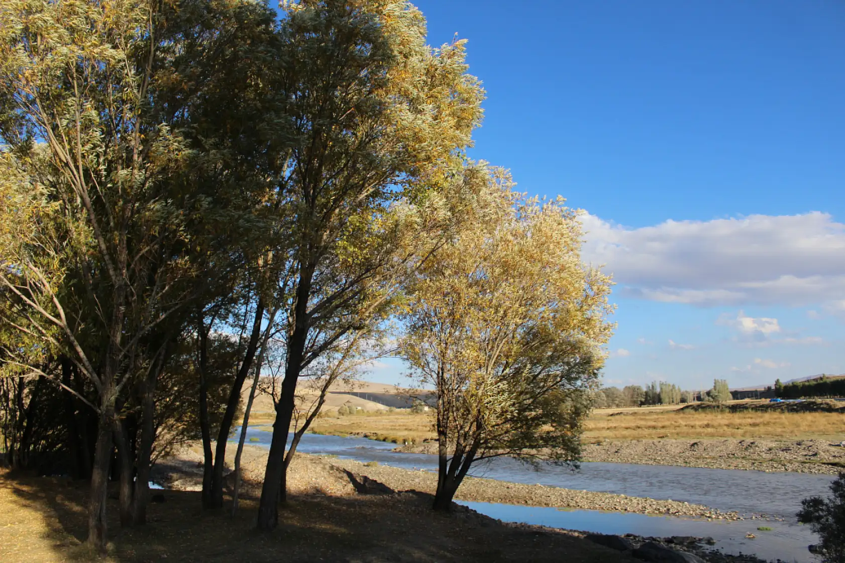 Taşlıçay'da sonbahar renkleri Bayraklı Tepe'de buluştu