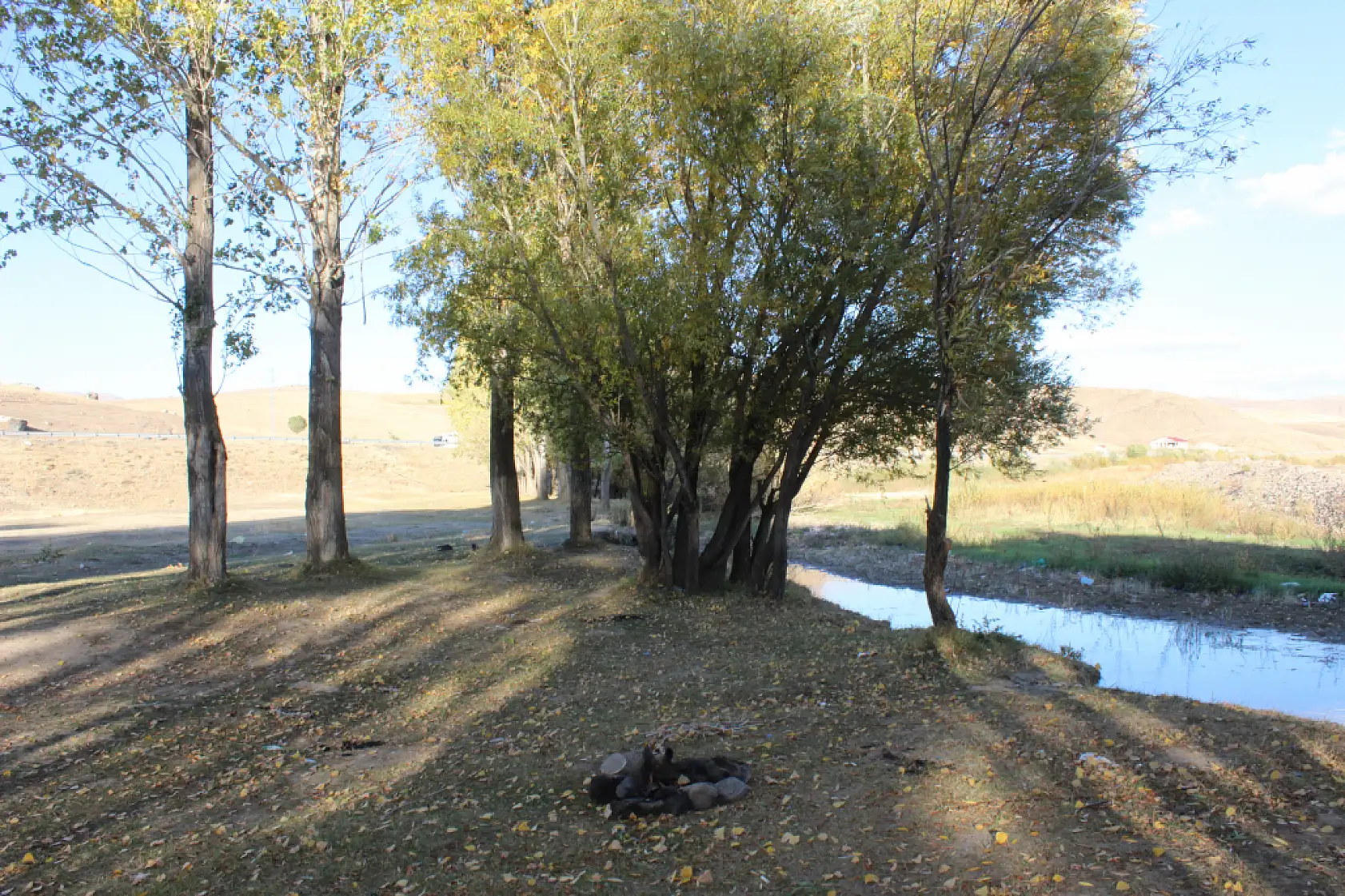 Taşlıçay'da sonbahar renkleri Bayraklı Tepe'de buluştu