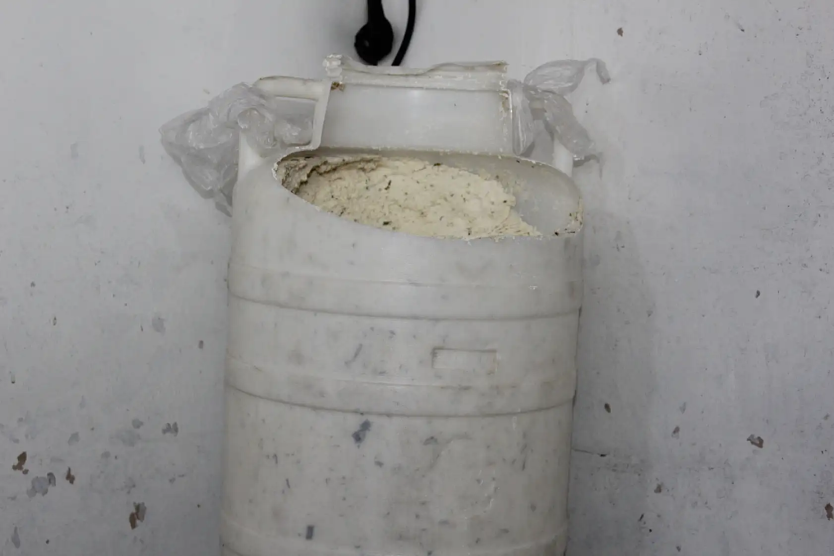 Dorak peyniri Ağrı'da kışın vazgeçilmezi oldu