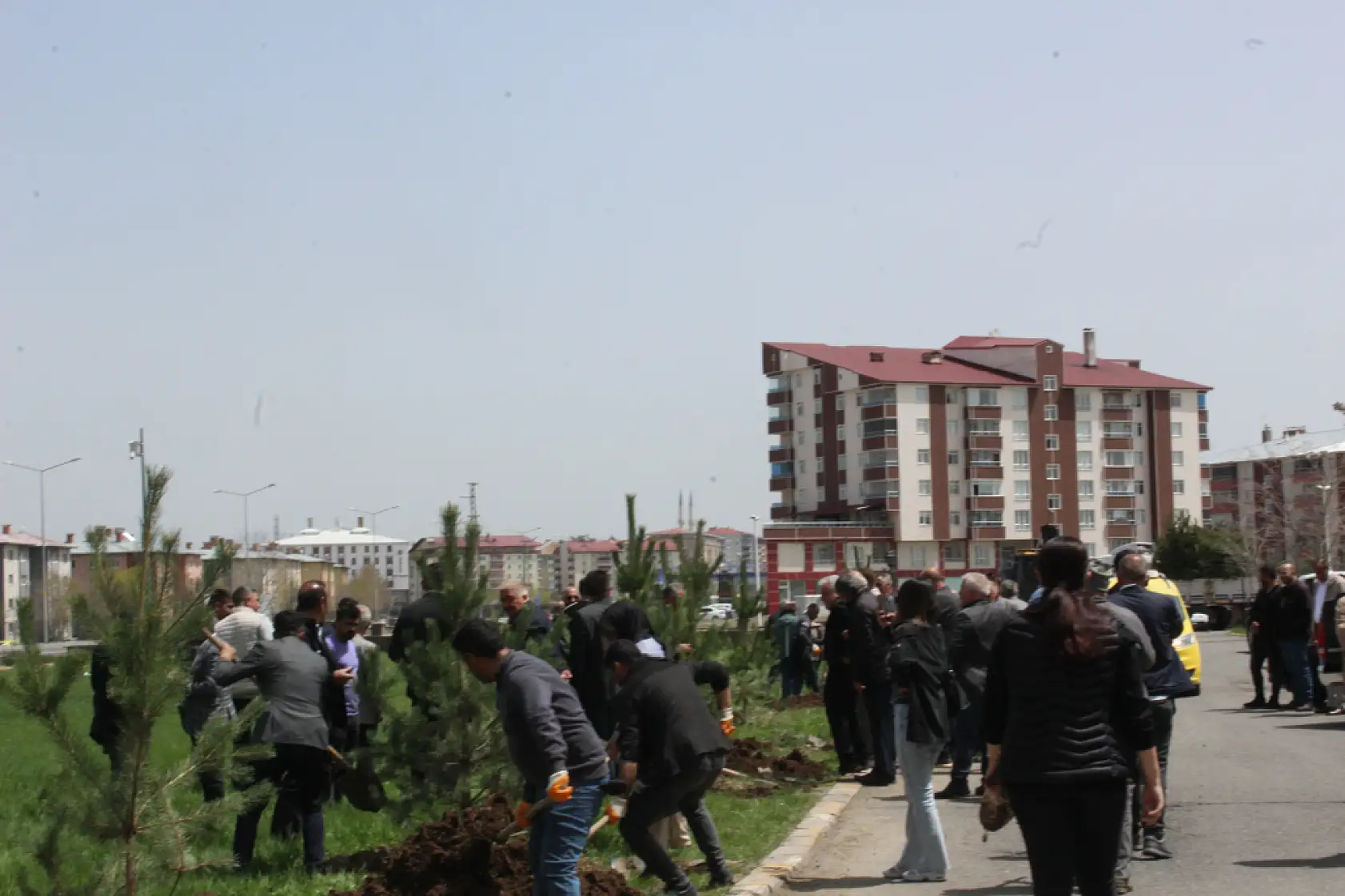 Ağrı Belediyesi'nden barış fidanlarıyla anlamlı ağaçlandırma çalışması