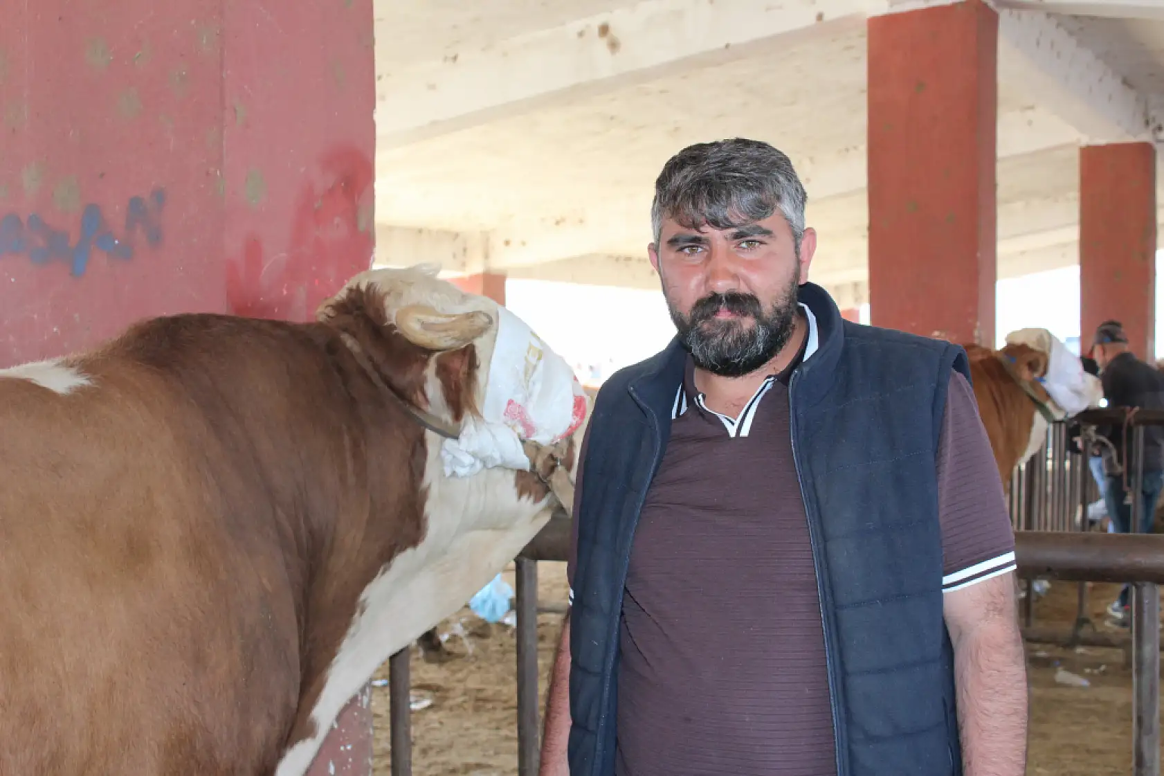 Kurban pazarı Ağrı'da hareketlendi: Son gün yoğunluğu yüzleri güldürdü