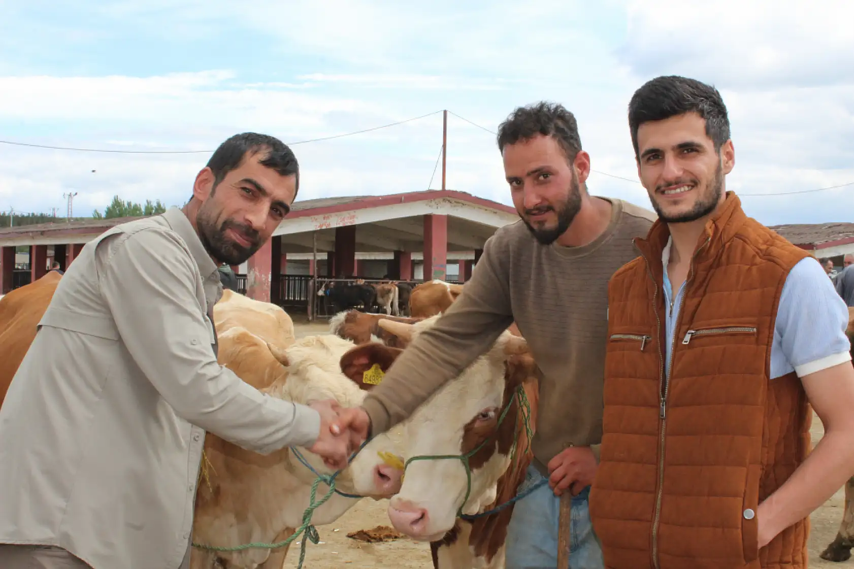 Kurban pazarı Ağrı'da hareketlendi: Son gün yoğunluğu yüzleri güldürdü