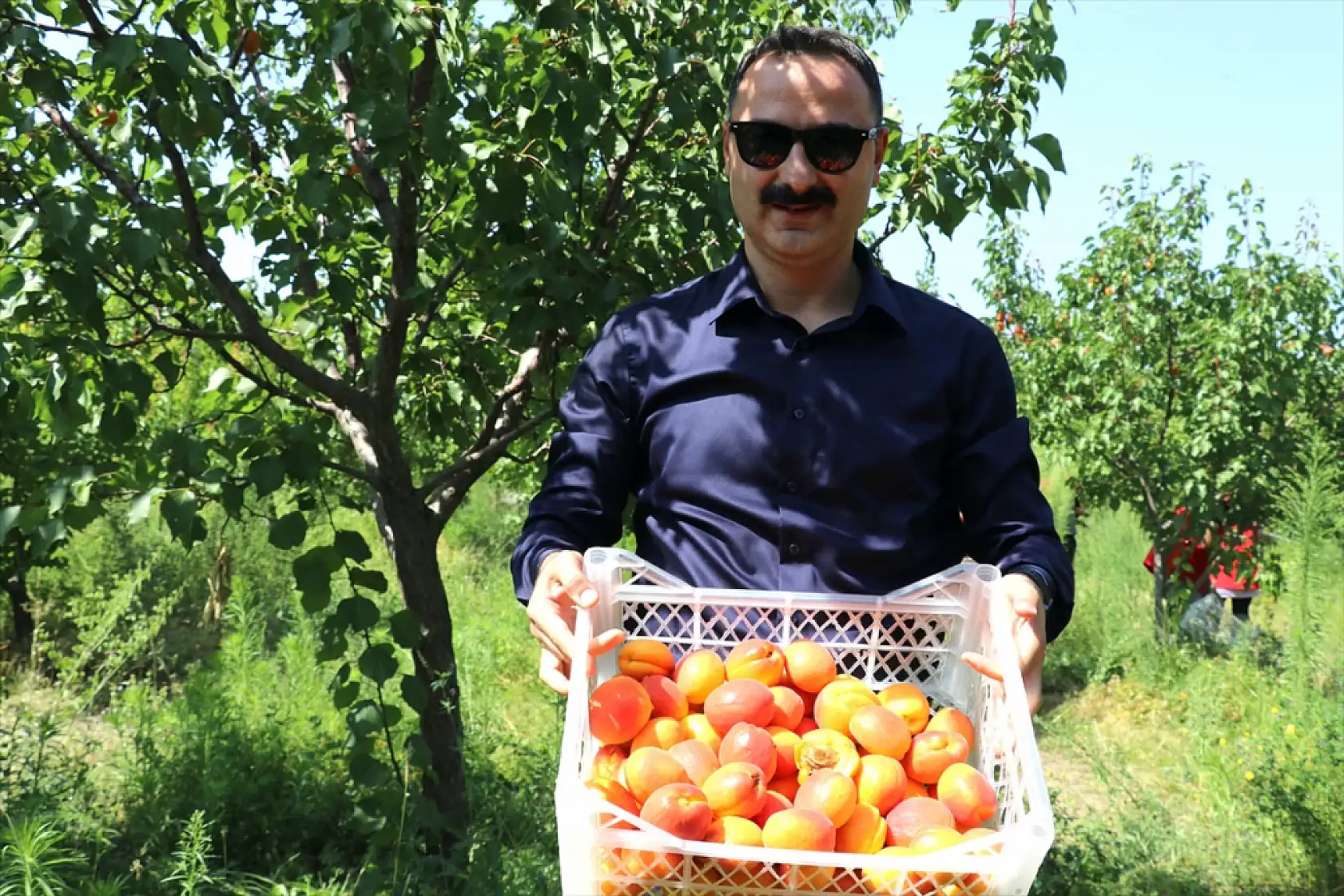 Çorak araziyi cennete çevirdi! Ağrı Dağı eteklerinde görenler hayran kalıyor