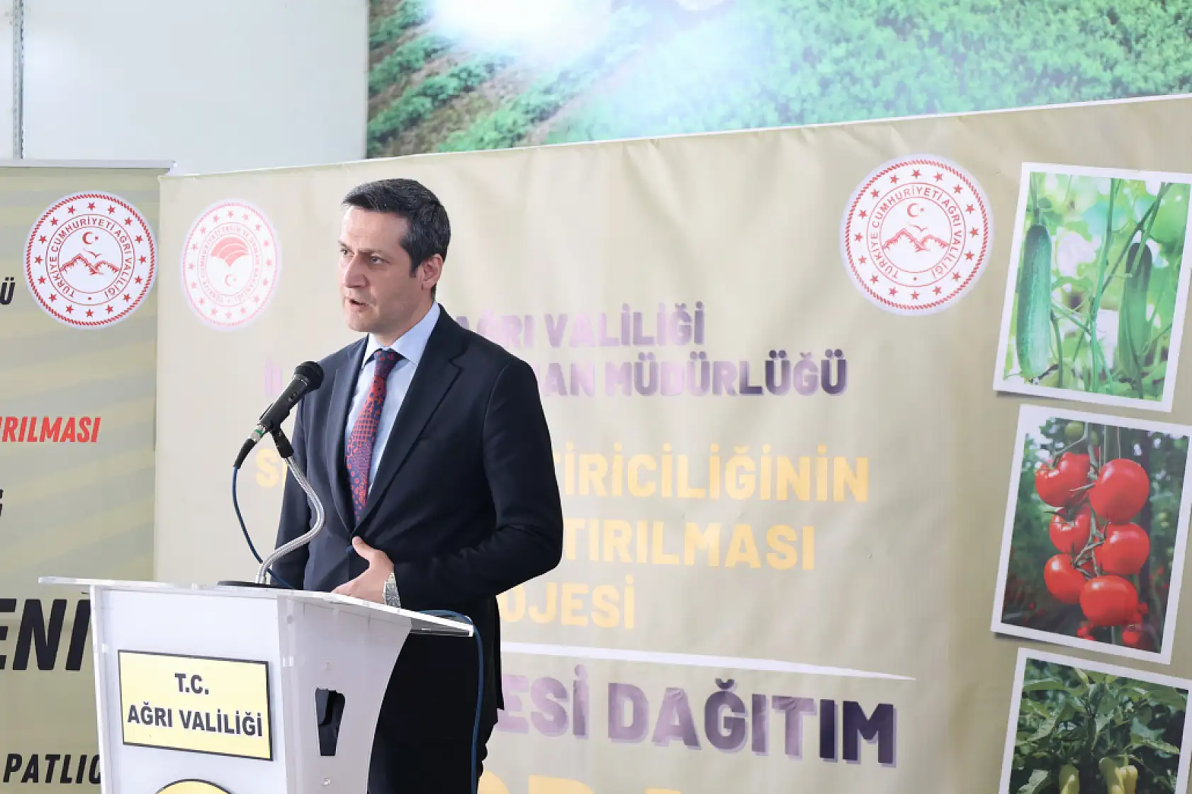 Üreticiye destek devam ediyor Ağrı'da çiftçiye fide desteği sağlandı
