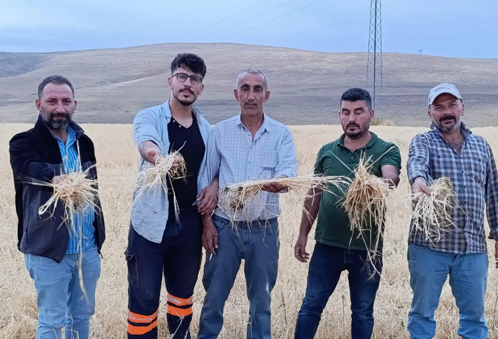 Hamur'da dolu felaketi: Ekinler zarar gördü!