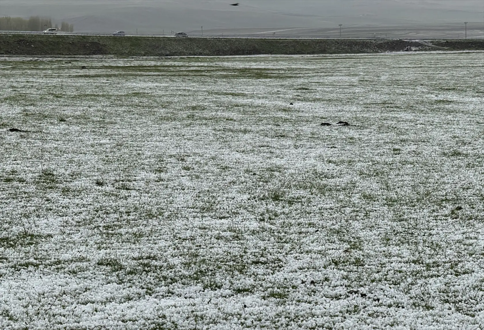 Kars'ta doğa yüzünü sert gösterdi dolu etkili oldu