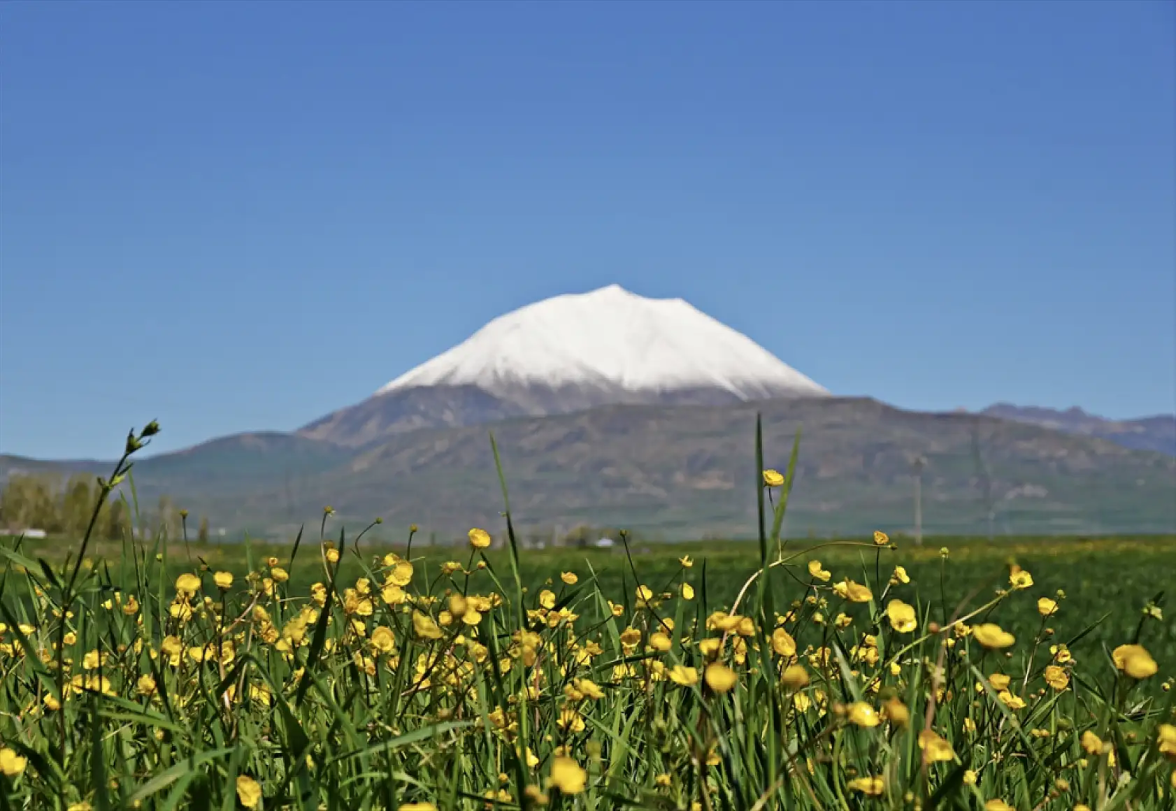 Kösedağ'ın zirvesinde kar sürprizi