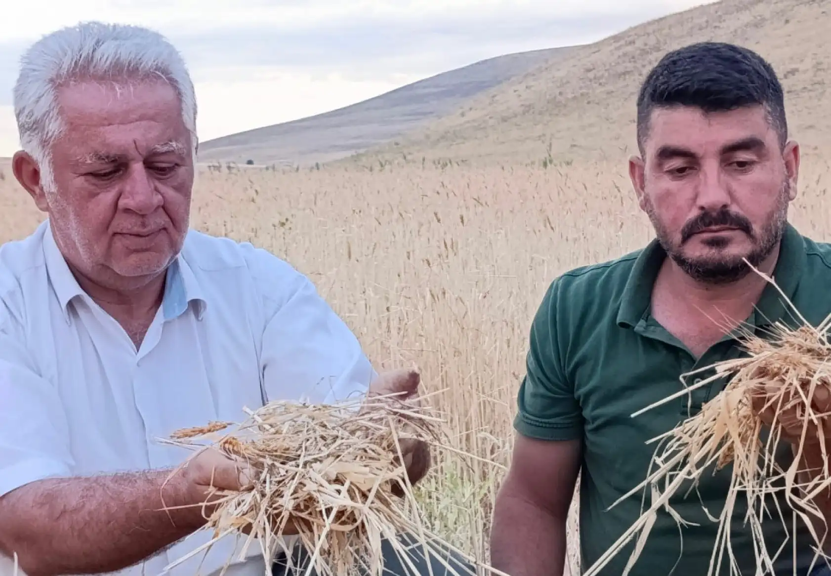Hamur'da dolu felaketi: Ekinler zarar gördü!