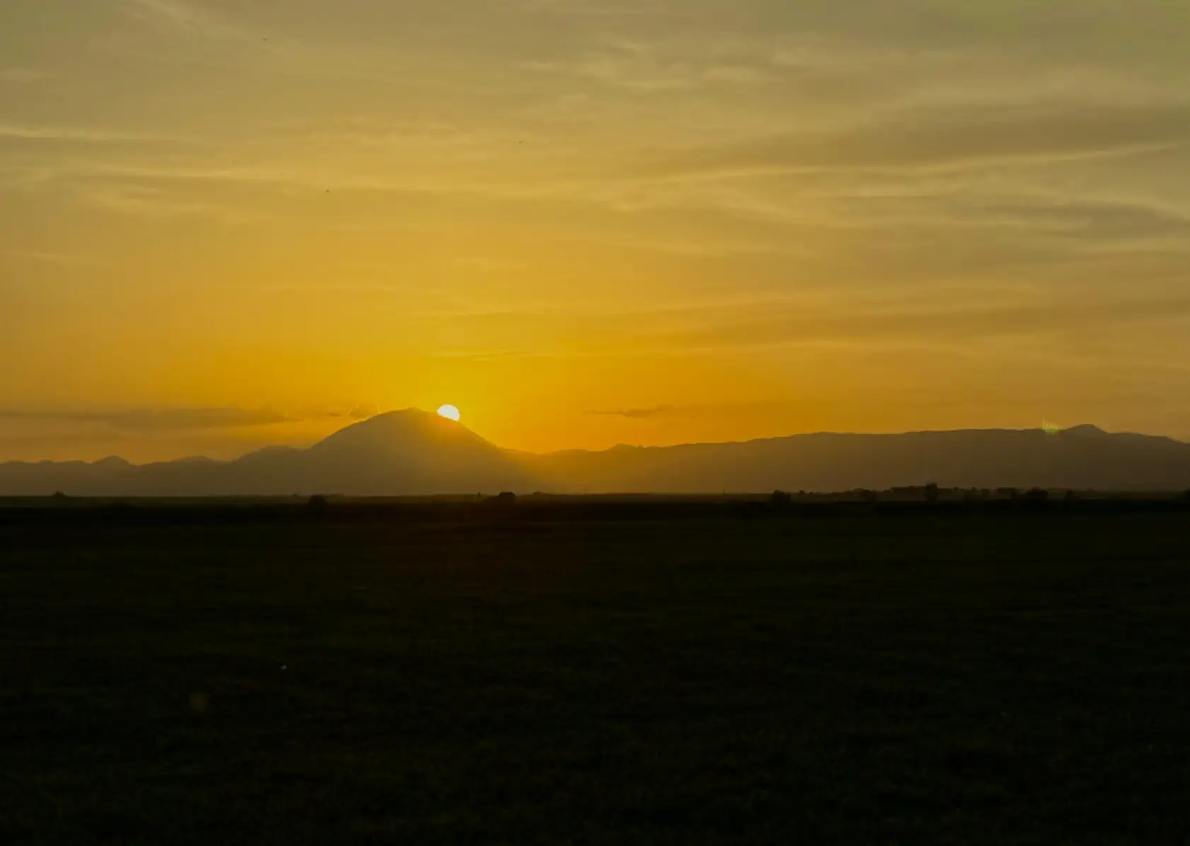 Ağrı'da ağaçlar tünel oluşturdu TRT park yolu yeniden yeşillendi