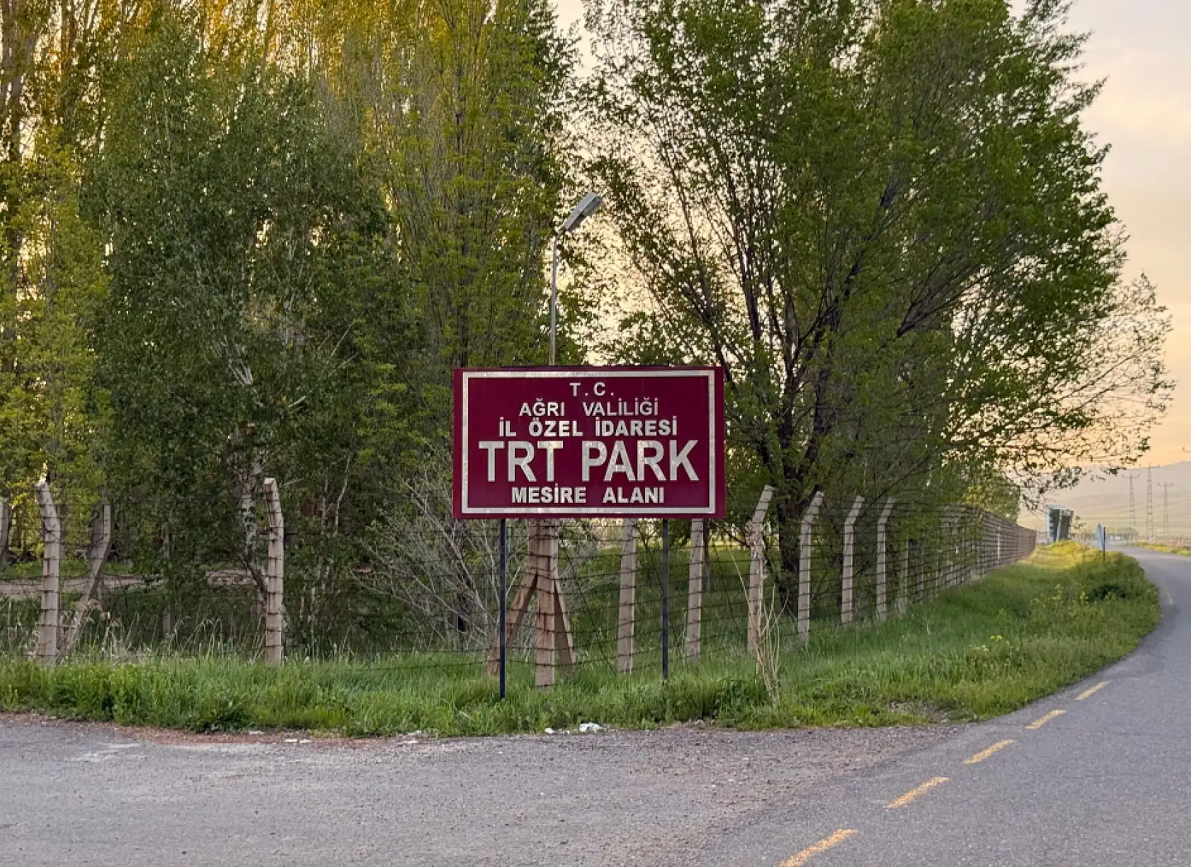 Ağrı'da ağaçlar tünel oluşturdu TRT park yolu yeniden yeşillendi