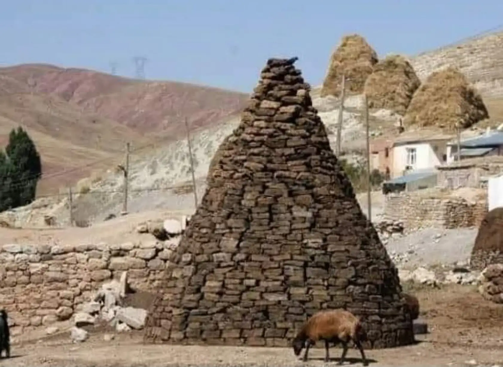 Eskilerle Ağrı: Karaköse'den Günümüze Bir Nostalji Yolculuğu
