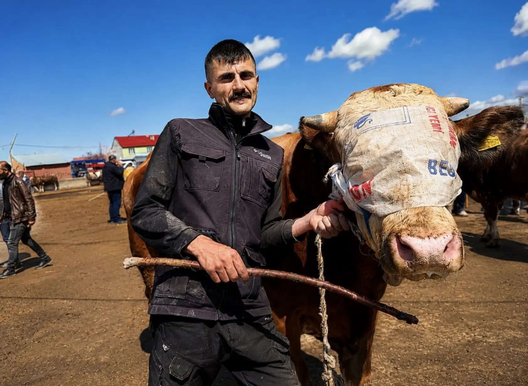 Batı illerinin kurbanlık rotası yine Ağrı oldu