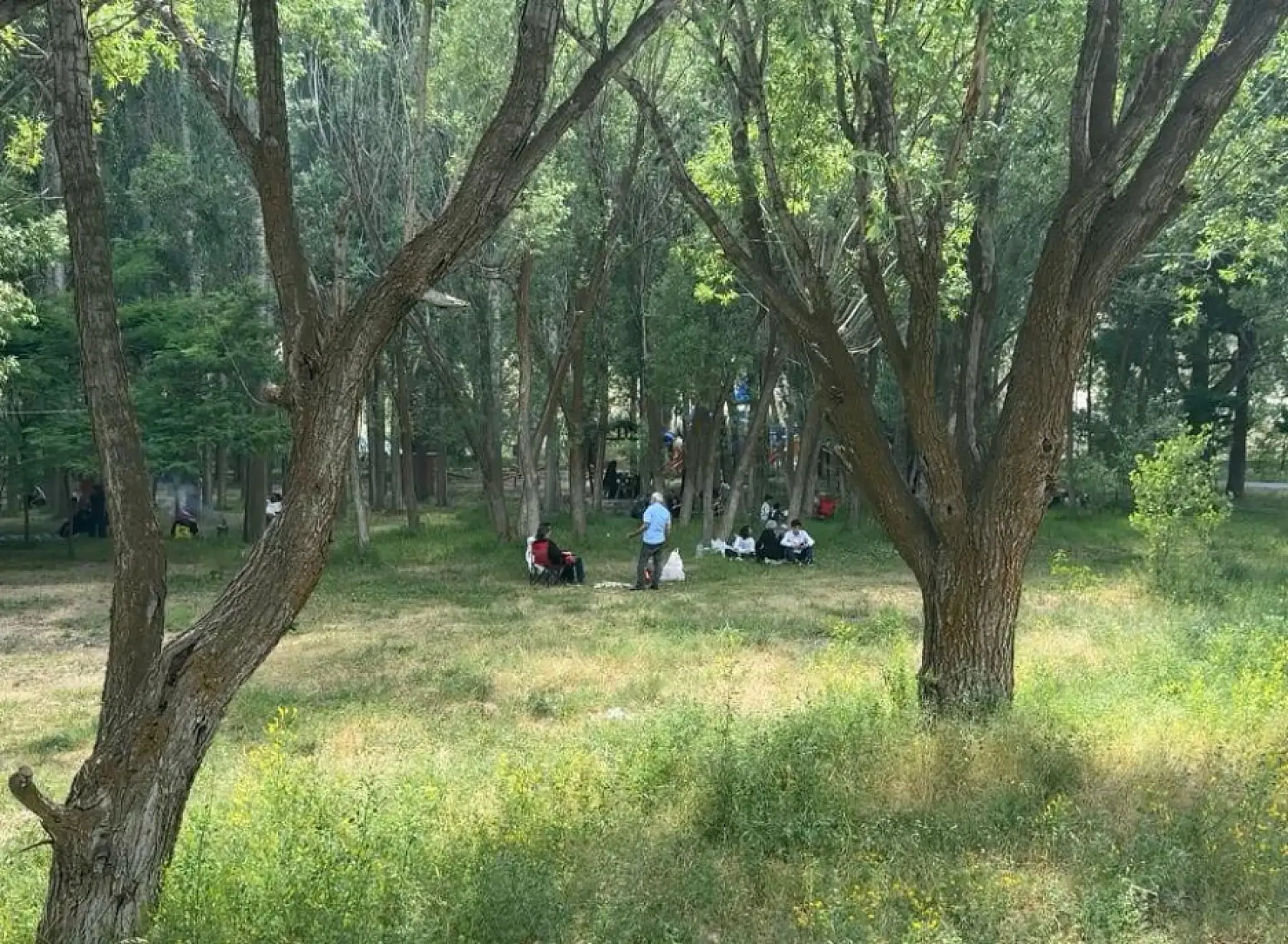 Taşlıçay Recep Tayyip Erdoğan parkı yaz mevsimine hazır