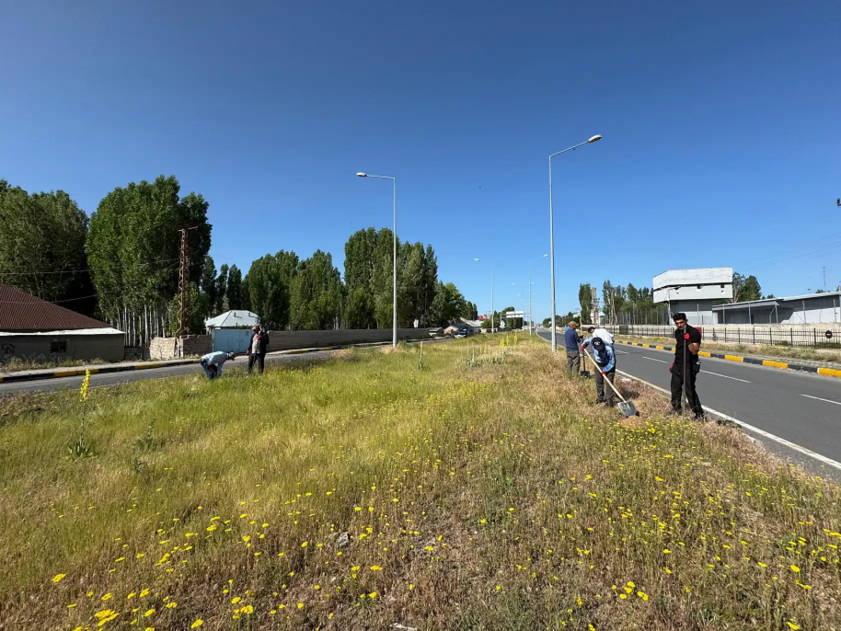 Patnos'ta 15 bin ağaç toprakla buluştu