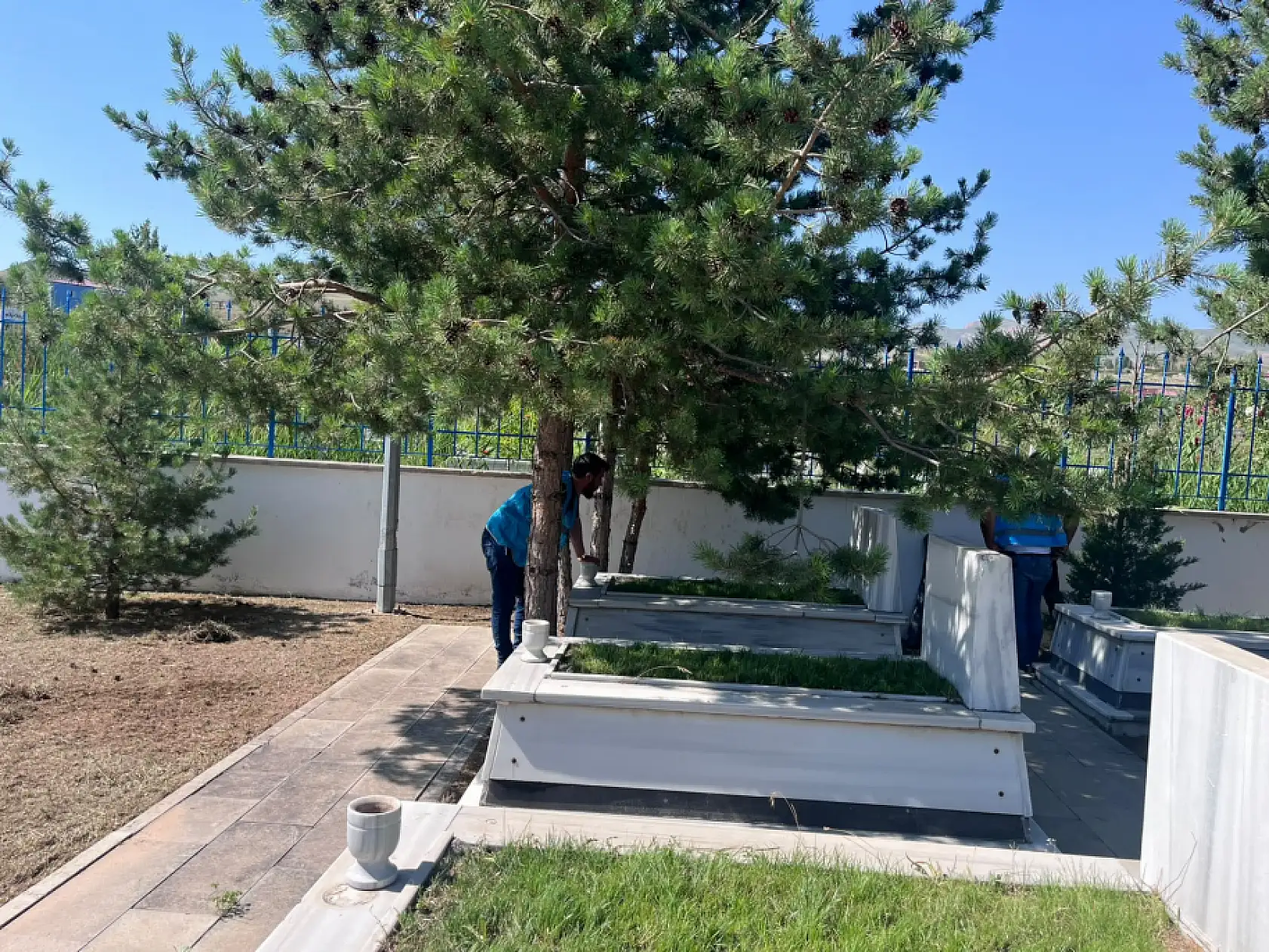 Doğubayazıt'ta 15 Temmuz öncesi şehitlikte anlamlı temizlik çalışması