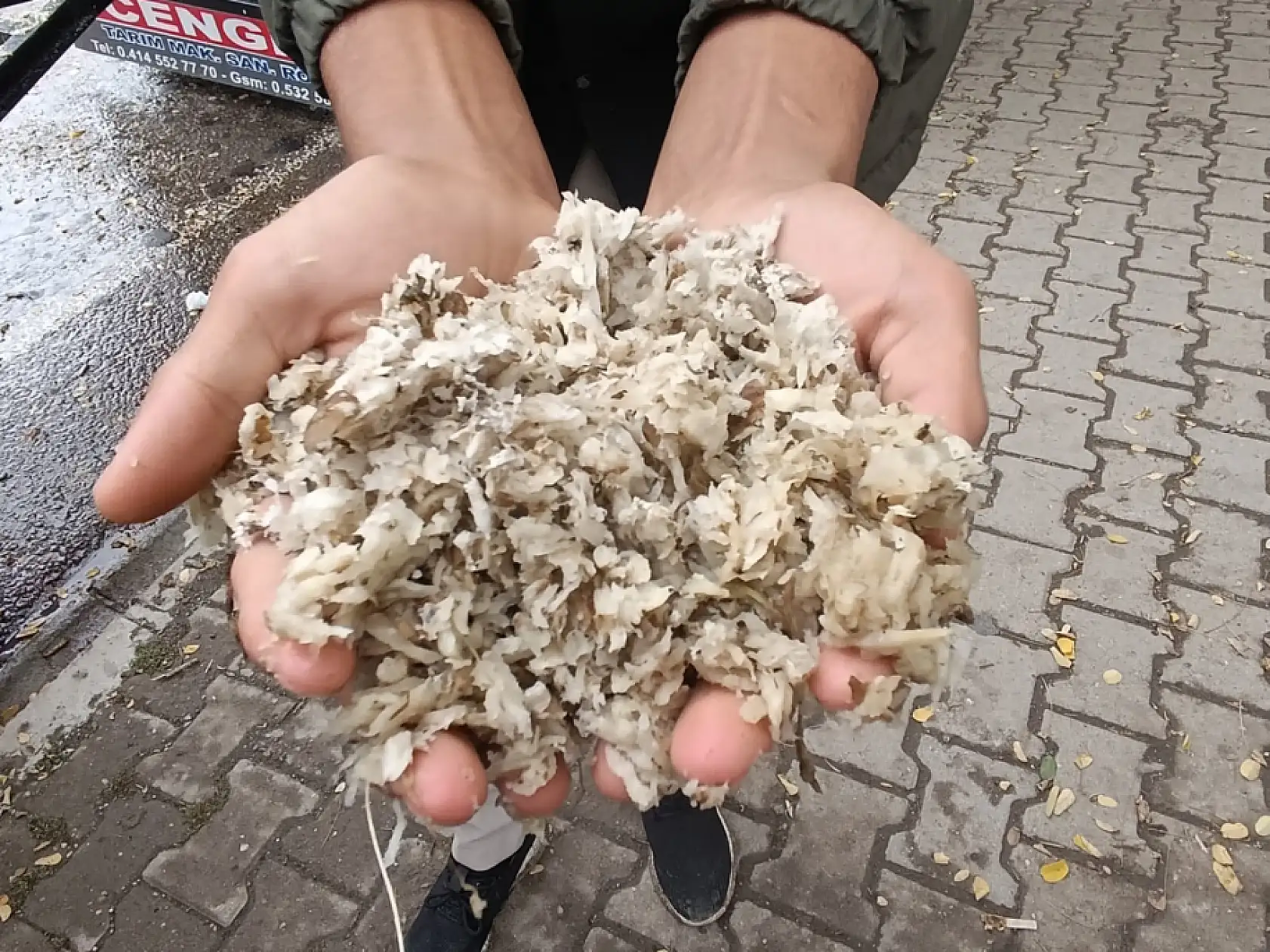 Ağrı'da besicilerin kışlık yem telaşı başladı! Şeker pancarı posasının tonu 2 bin TL