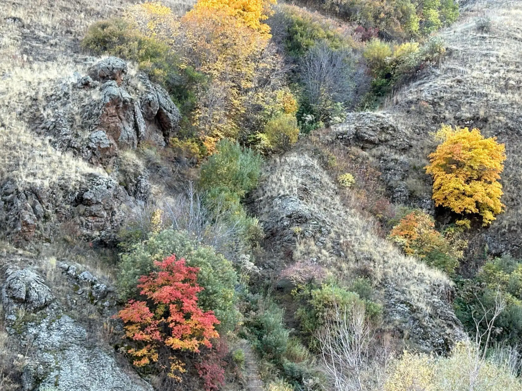 Ağrı-Erzurum kara yolu sonbahar renklerine büründü