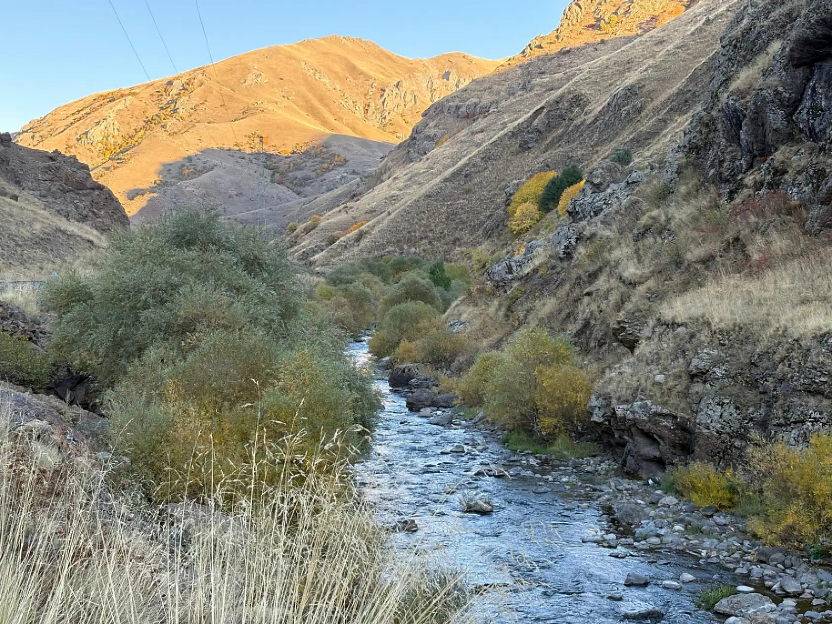 Ağrı-Erzurum kara yolu sonbahar renklerine büründü