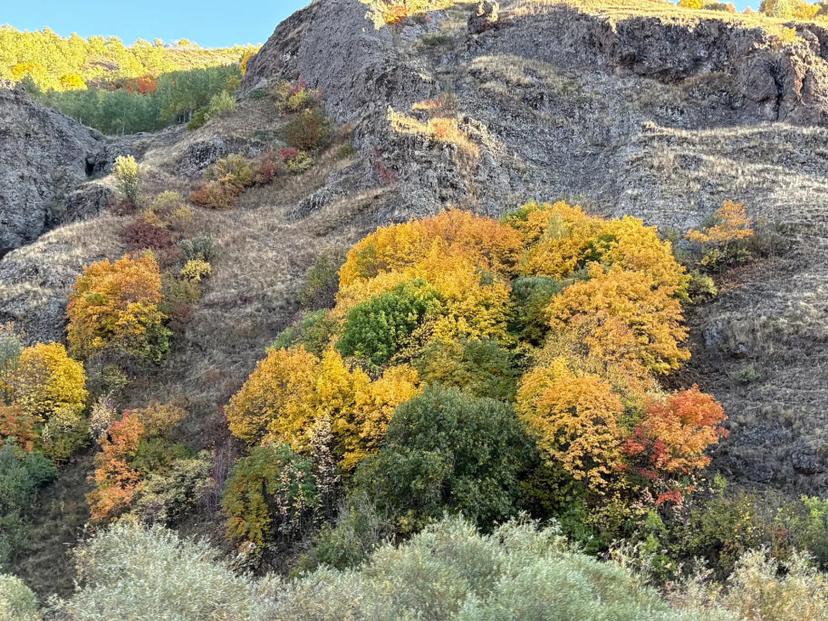 Ağrı-Erzurum kara yolu sonbahar renklerine büründü