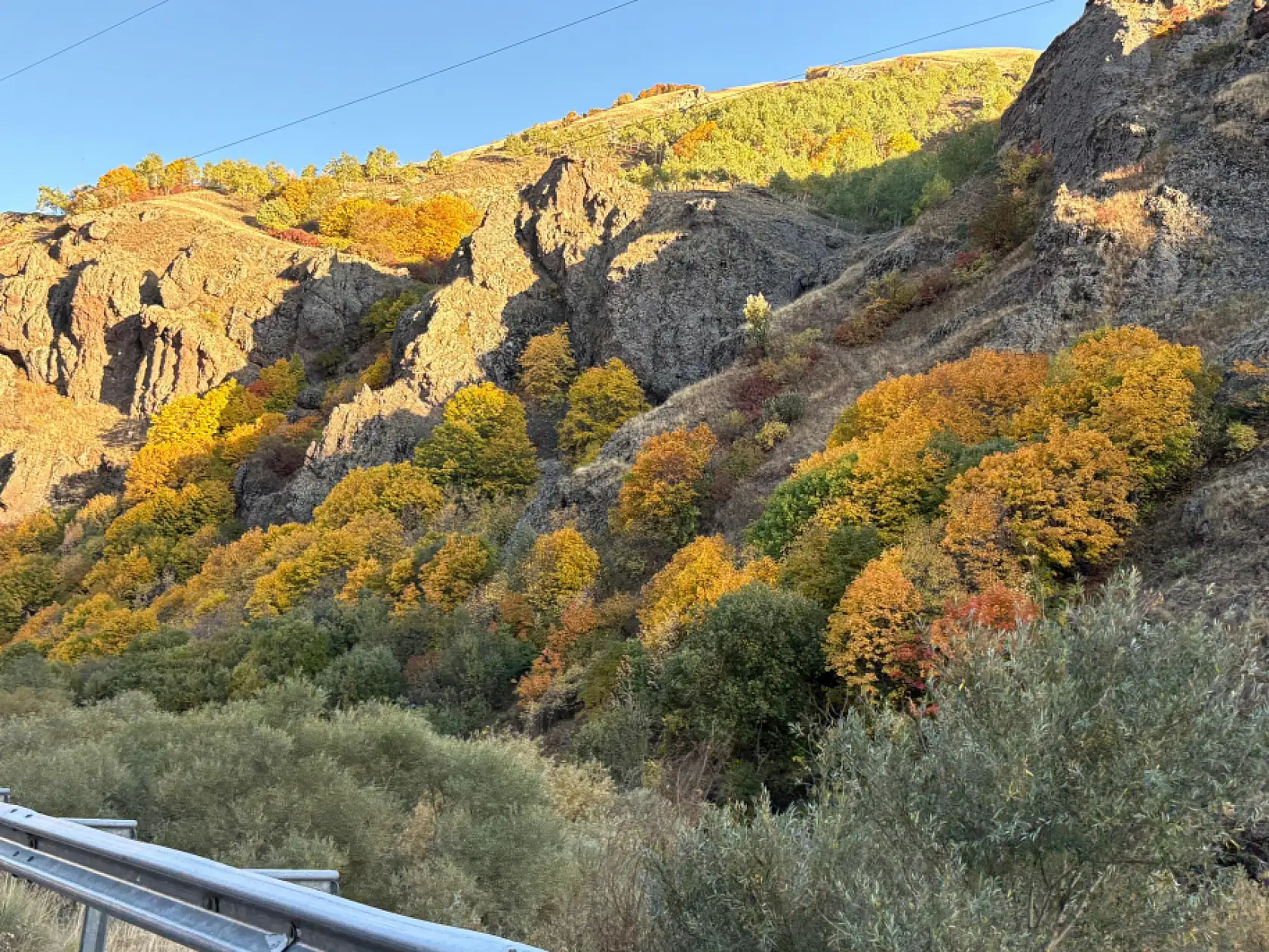 Ağrı-Erzurum kara yolu sonbahar renklerine büründü