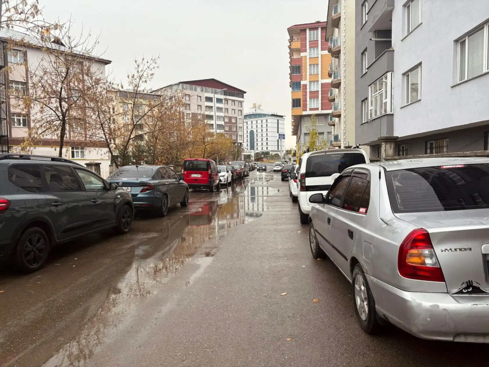 Ağrı'da gece başlayan yağmur sabah da sürdü