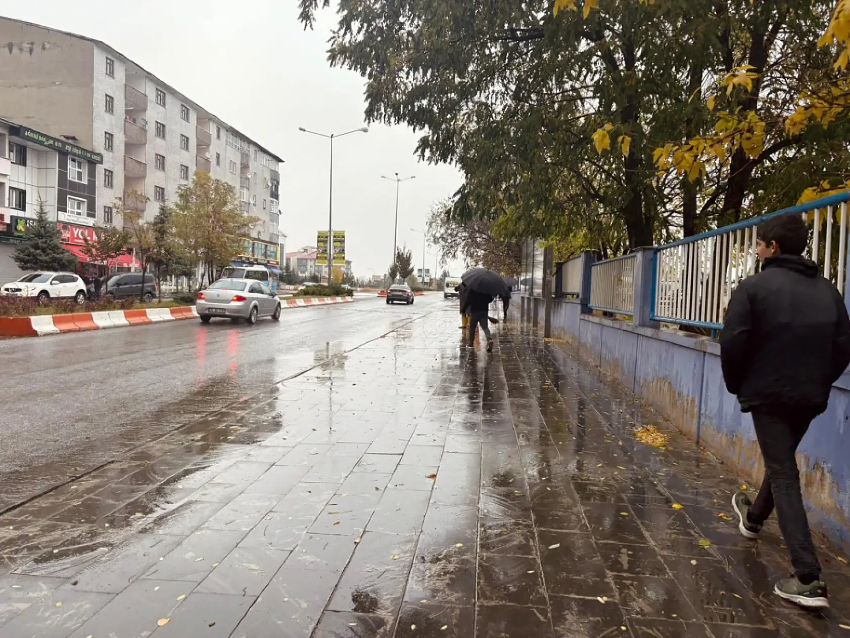 Ağrı'da gece başlayan yağmur sabah da sürdü