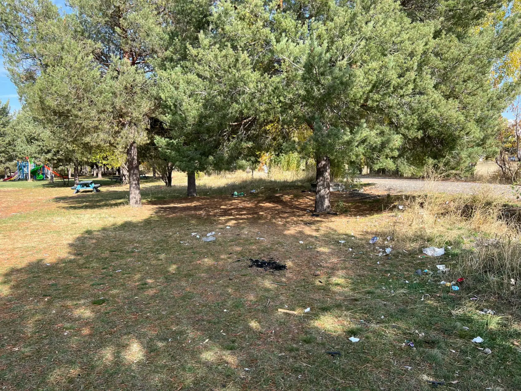 Tema Vakfı ve öğrenciler Ağrı'da çevreyi temizledi, doğaya sahip çıktı