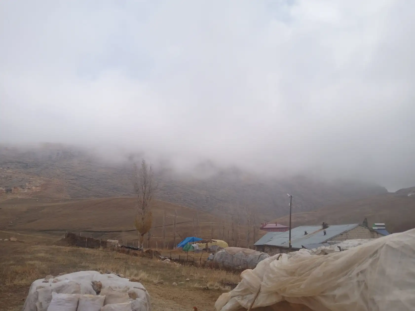 Boz Toprak karla kaplandı, Dede Maksut'u sis sardı