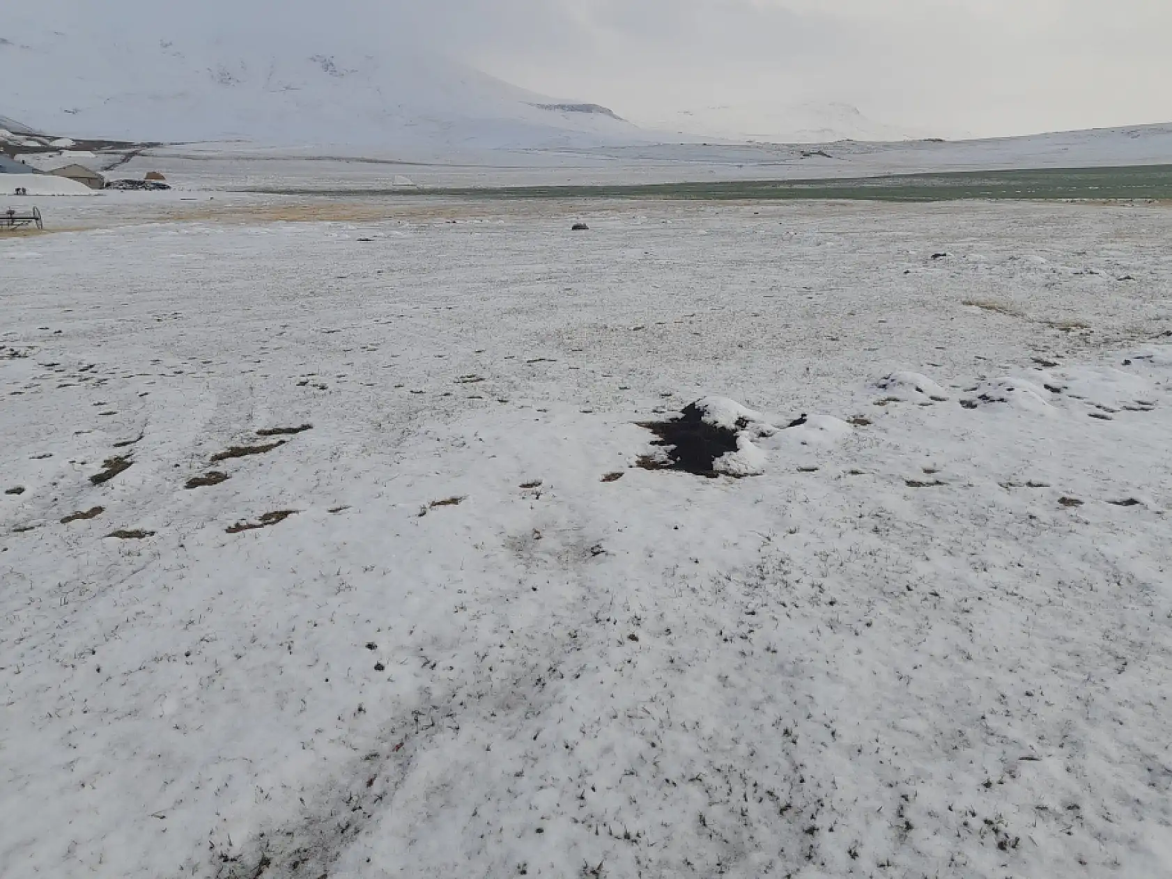 Ağrı'da tarlalar mevsimin ilk karıyla beyaz örtüyle kaplandı
