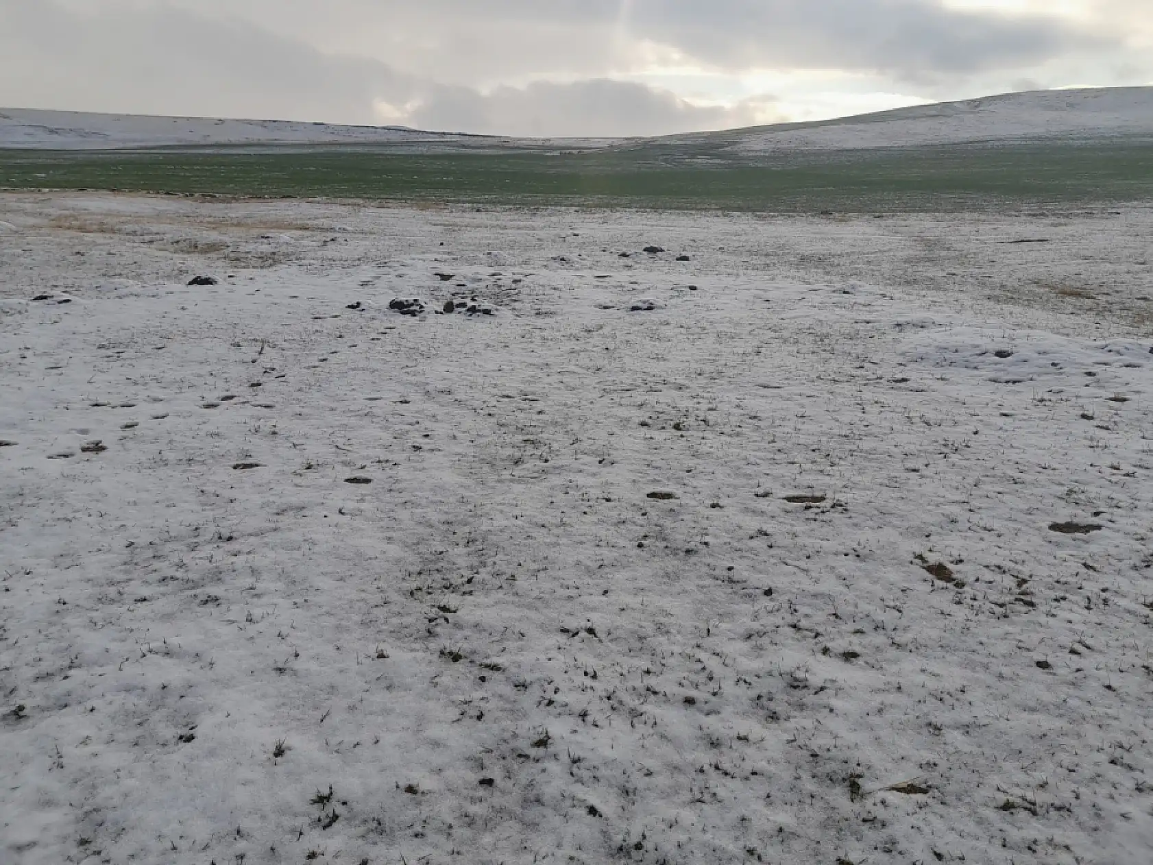 Ağrı'da tarlalar mevsimin ilk karıyla beyaz örtüyle kaplandı