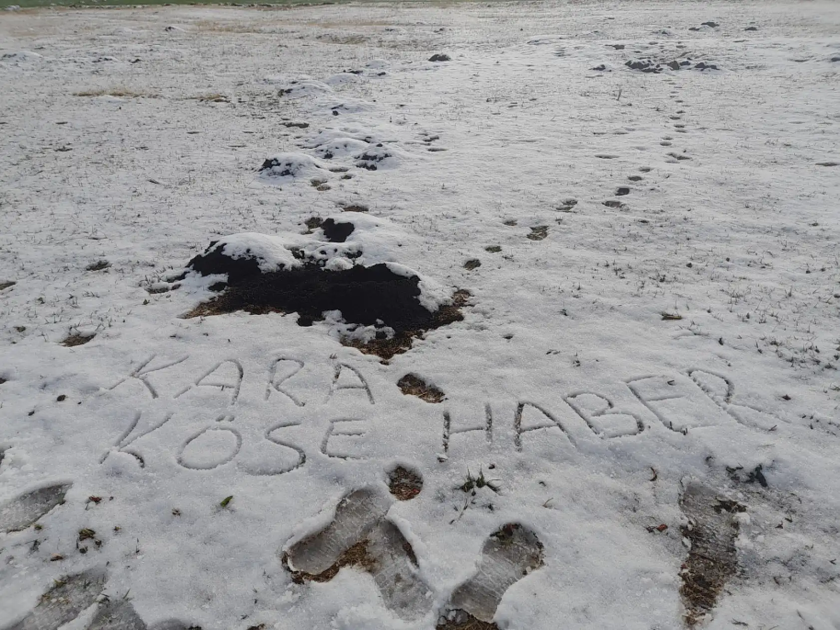 Ağrı'da tarlalar mevsimin ilk karıyla beyaz örtüyle kaplandı