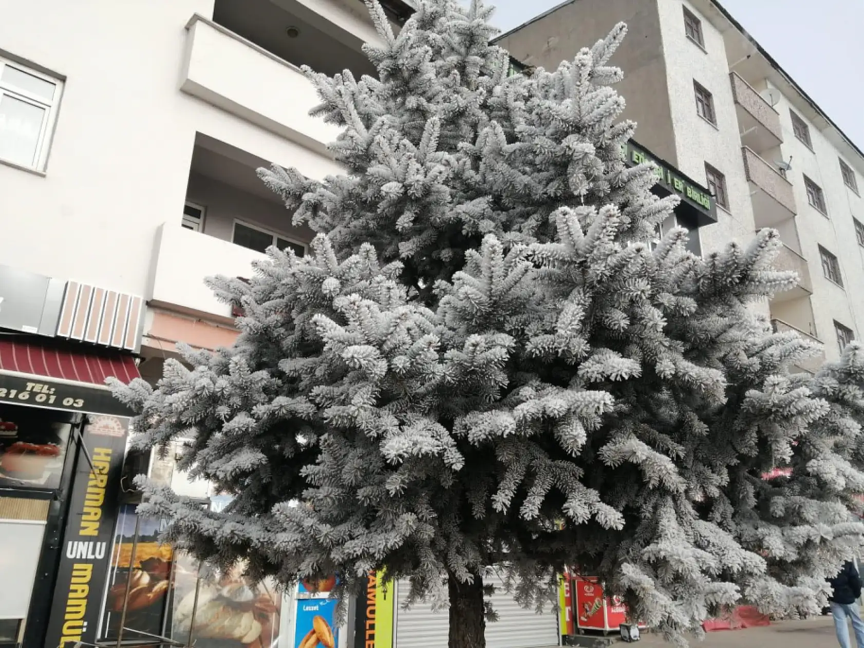 Sabah saatlerinde kırağı Ağrı'yı beyaza bürüdü