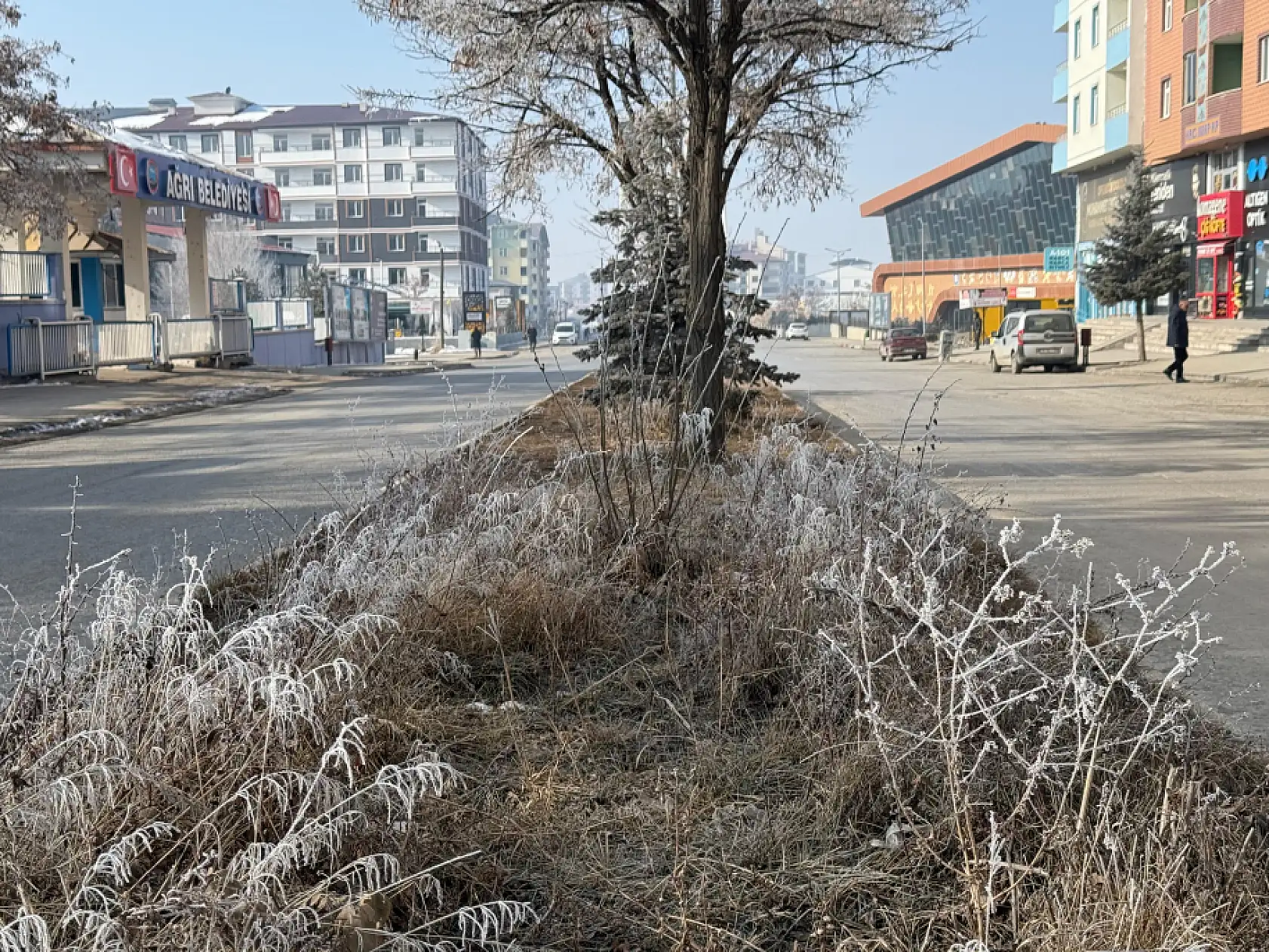 Ağrı'da soğuk ve kırağılı bir pazar günü