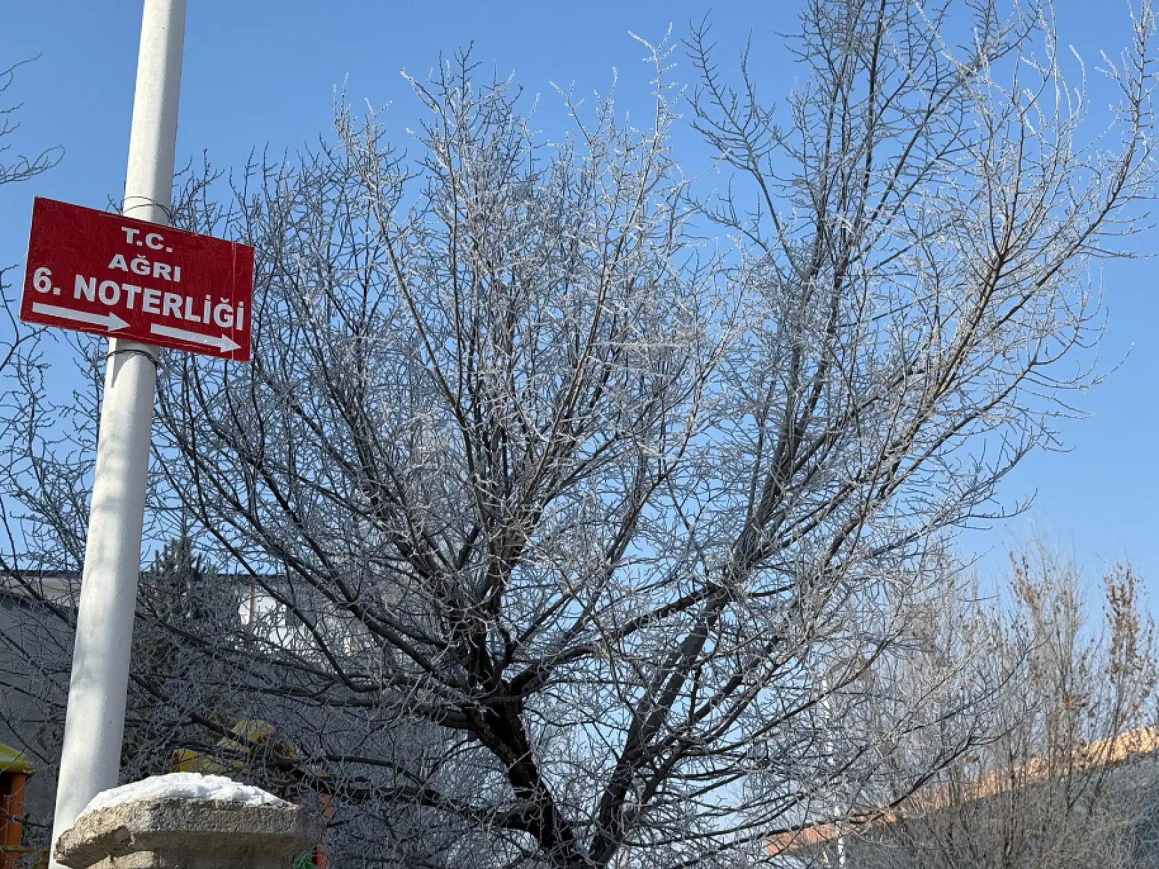 Ağrı'da soğuk ve kırağılı bir pazar günü