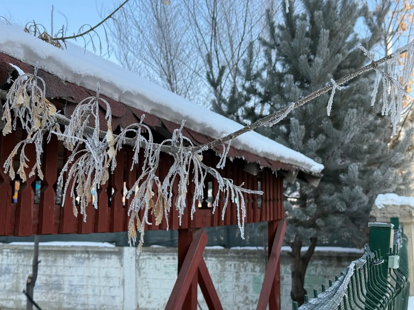 Ağrı'da soğuk ve kırağılı bir pazar günü