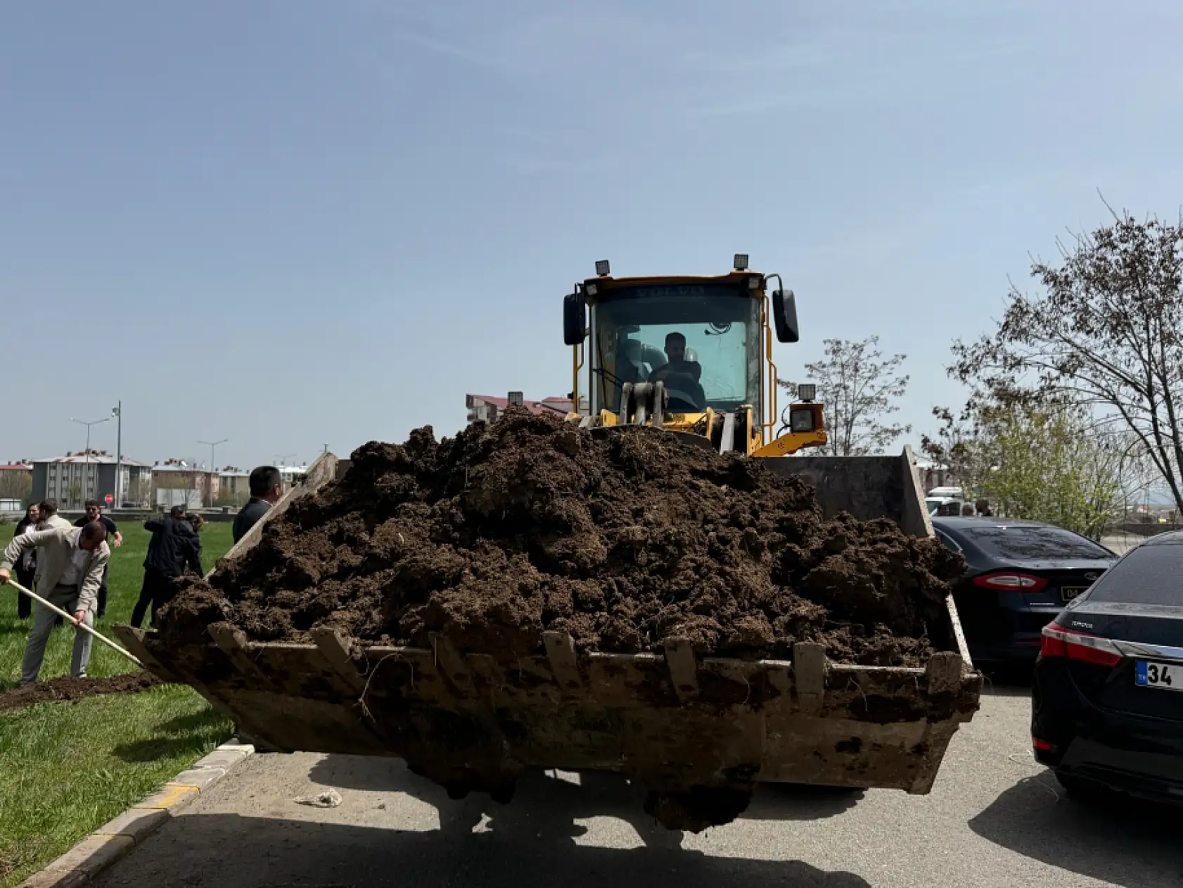 Ağrı Belediyesi'nden barış fidanlarıyla anlamlı ağaçlandırma çalışması