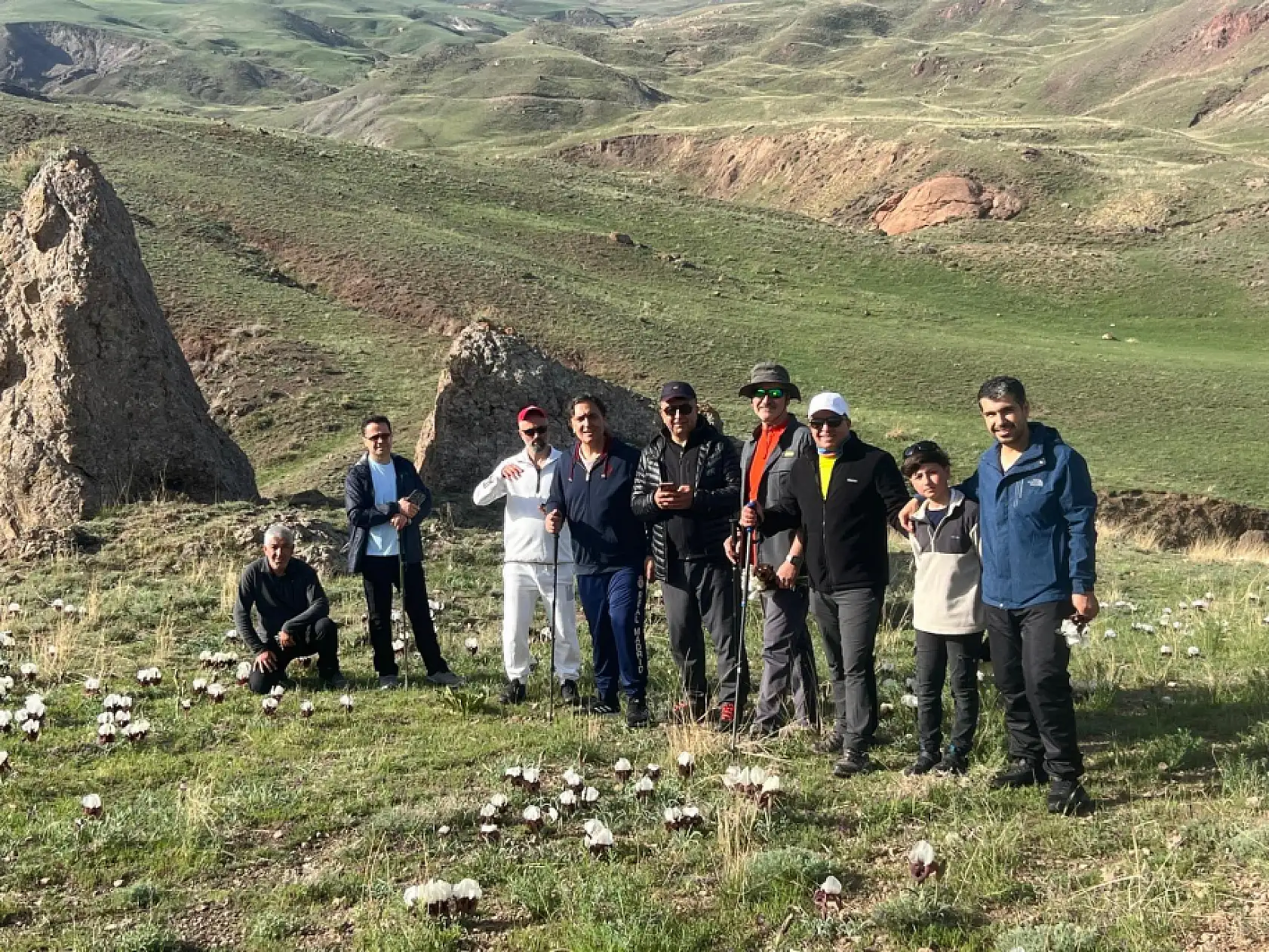 Doğubayazıt'ta kurt kulağı çiçekleri baharı müjdeliyor