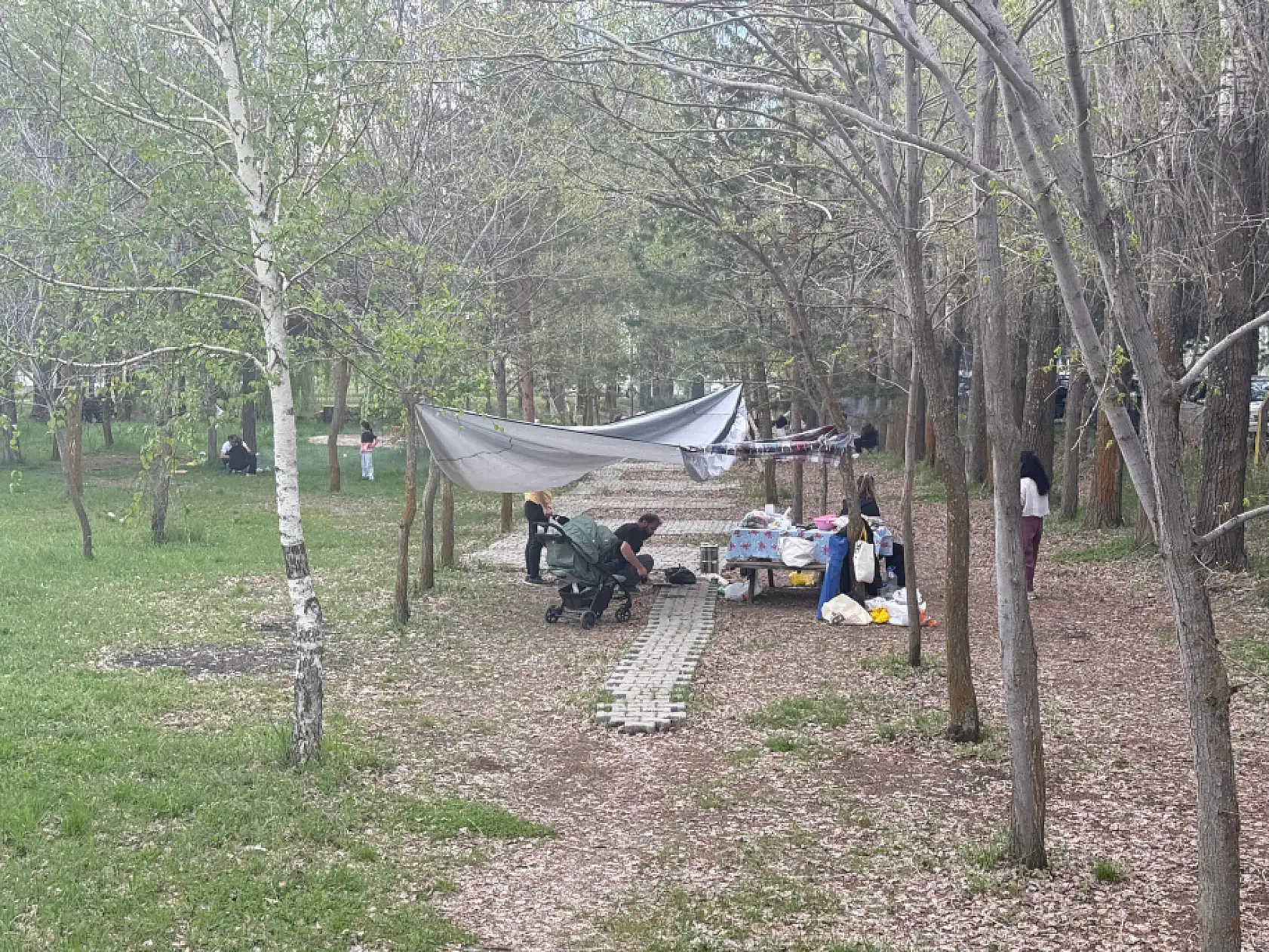 Ağrılılar baharın gelişiyle piknik alanlarına yöneldi
