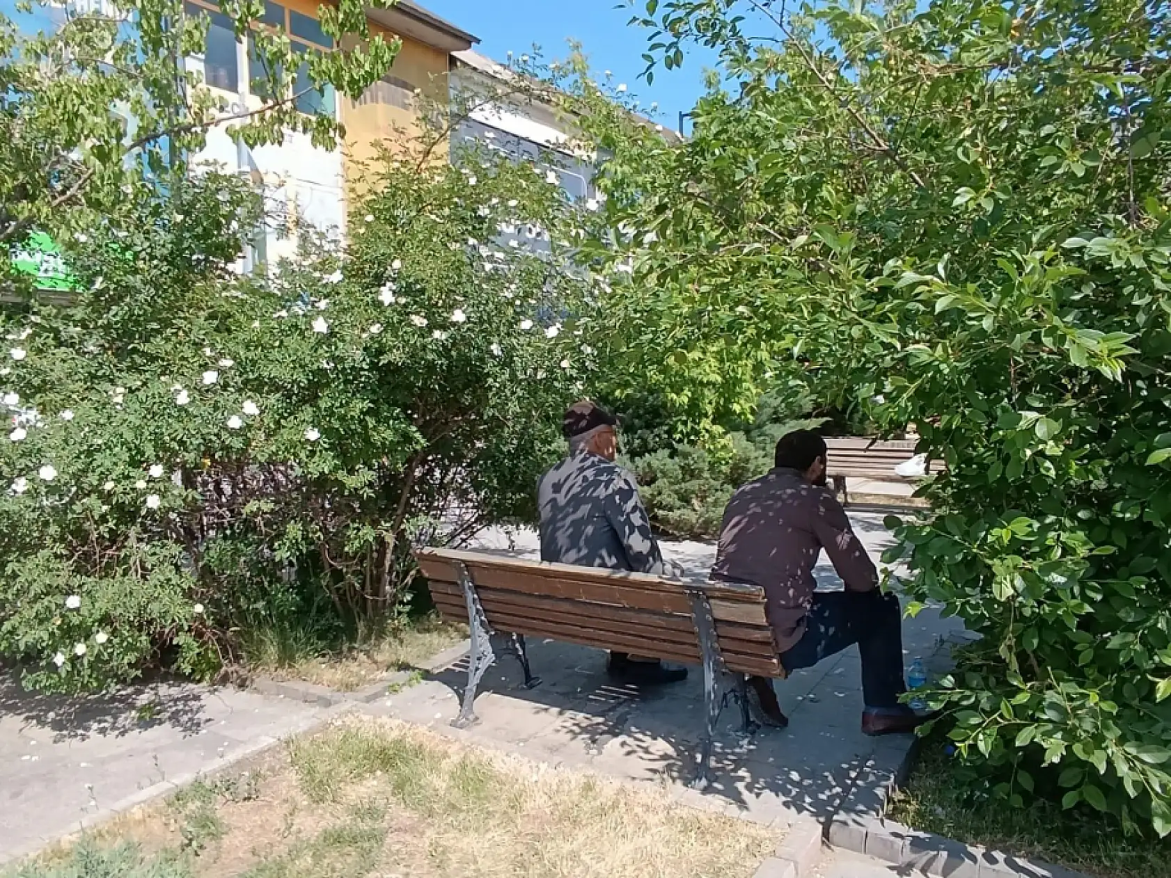 Ağrı'da vatandaşlar güneşli havayı değerlendirdi
