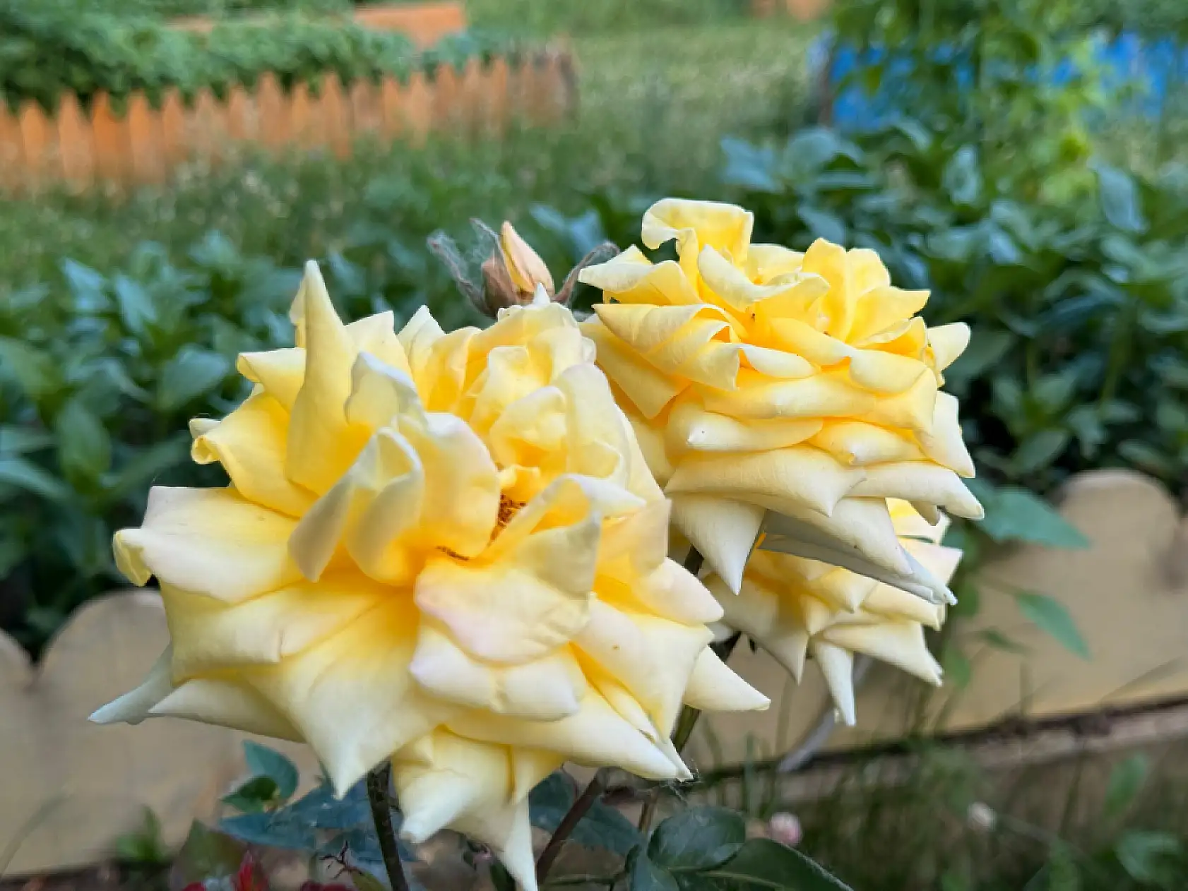 Ağrı'da hafta sonunda vatandaşların tercihi açık hava mekanları oldu