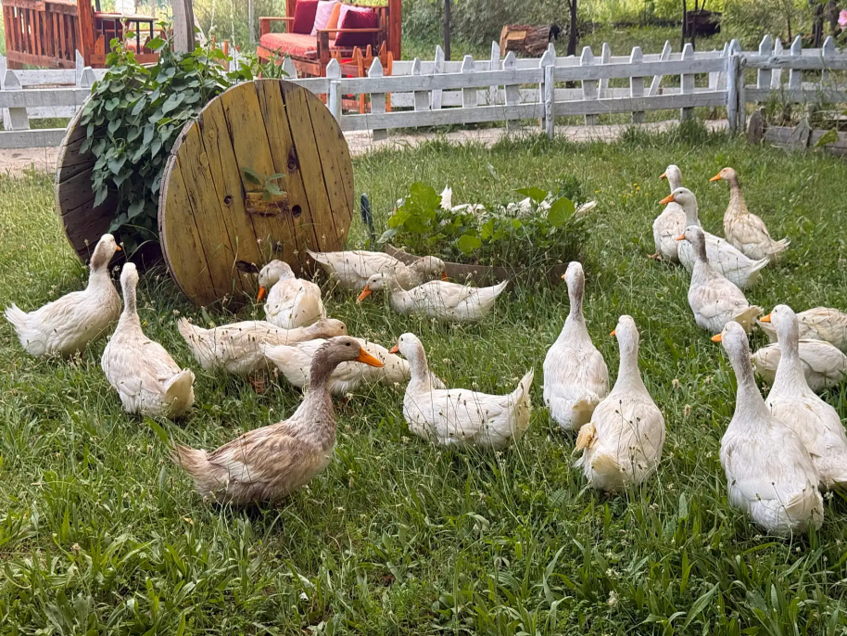 Ağrı'da hafta sonunda vatandaşların tercihi açık hava mekanları oldu