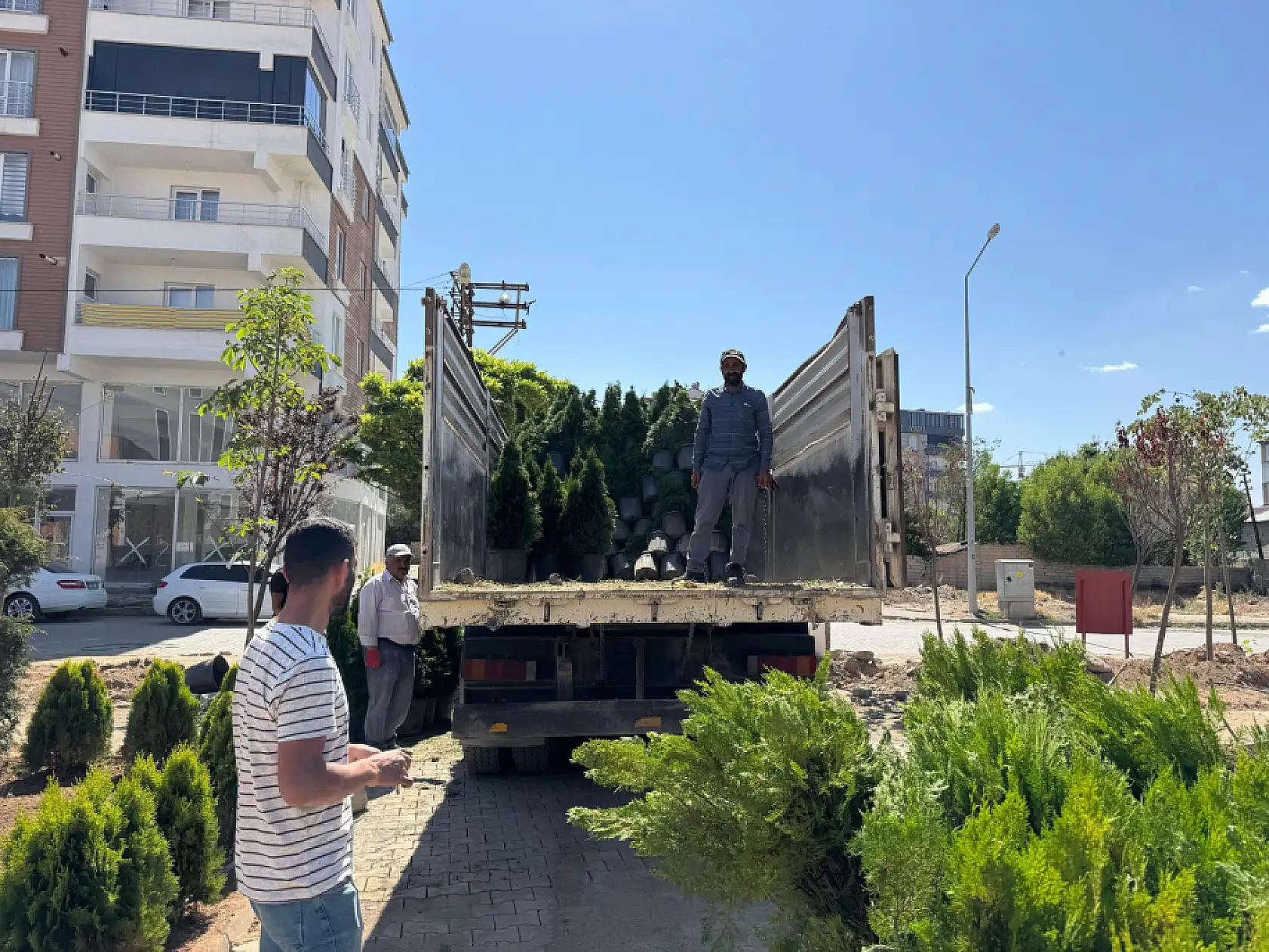 Patnos'ta yeşil alan yatırımları sürüyor