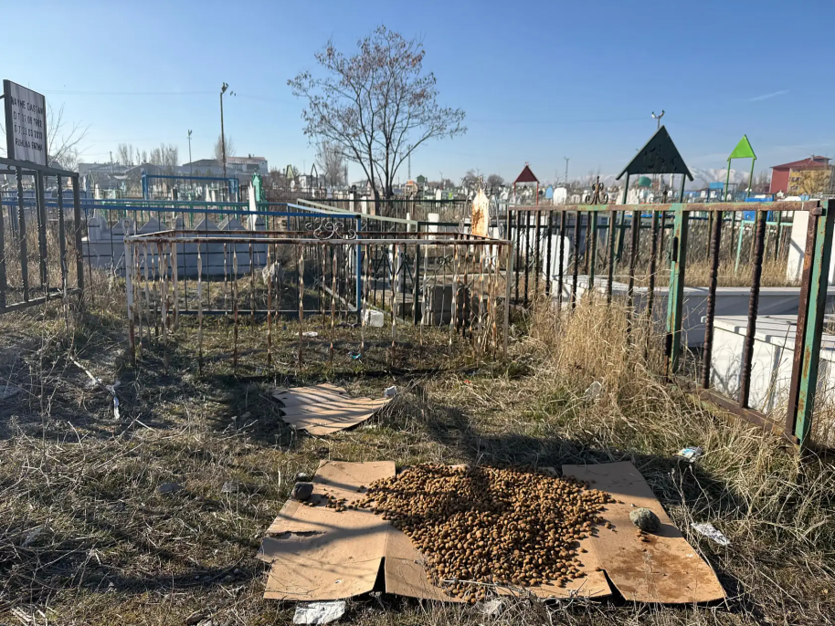 Ağrı'da mezarlık geleneği sessizleşti, merhamet eksilmedi