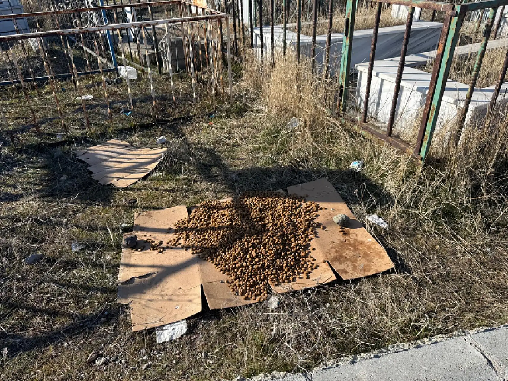 Ağrı'da mezarlık geleneği sessizleşti, merhamet eksilmedi