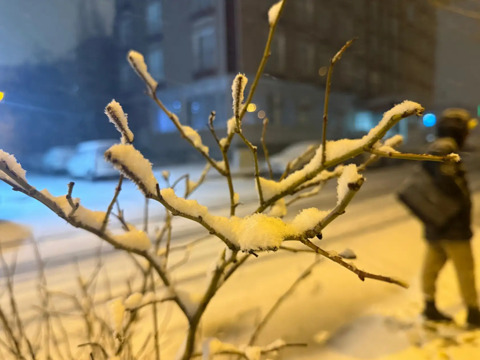 Kar yağışı Ağrı'yı etkisi altına aldı