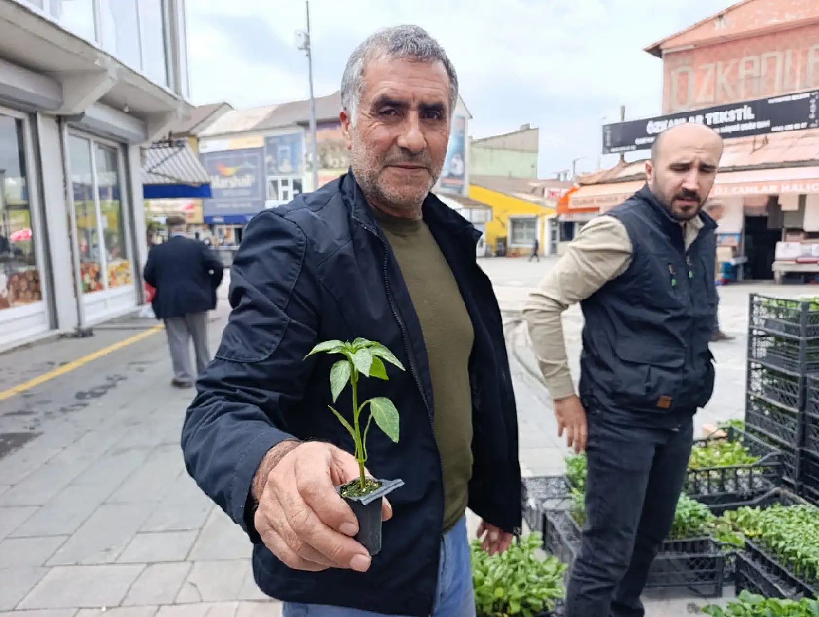 Ağrı'da fide sezonu başladı: vatandaşlar bahçeler için tezgâhlara akın etti