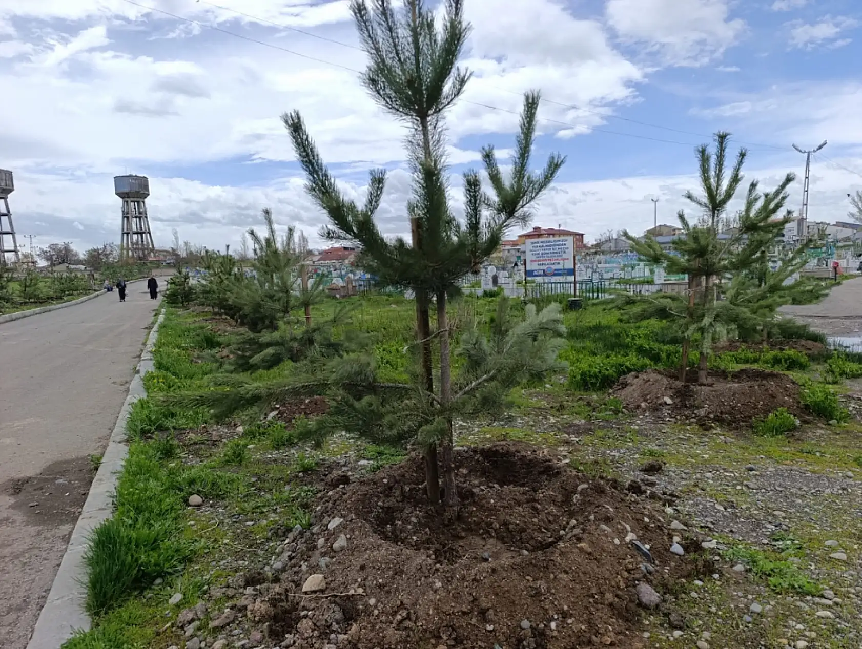 Ağrı'da şehir mezarlığında yenileme çalışması: çift dilli tabela dikkat çekti